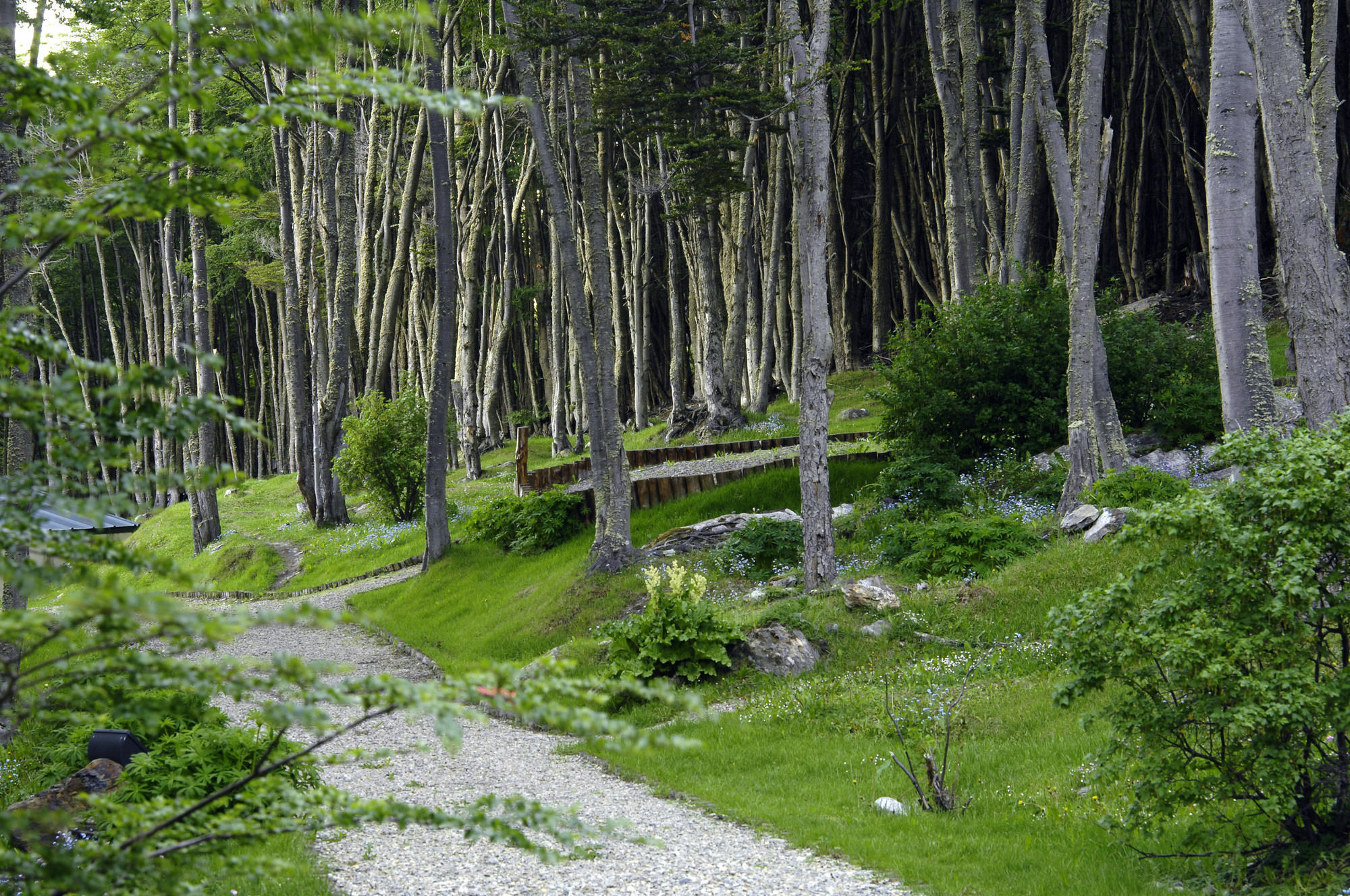 Las Hayas Ushuaia Resort Εξωτερικό φωτογραφία